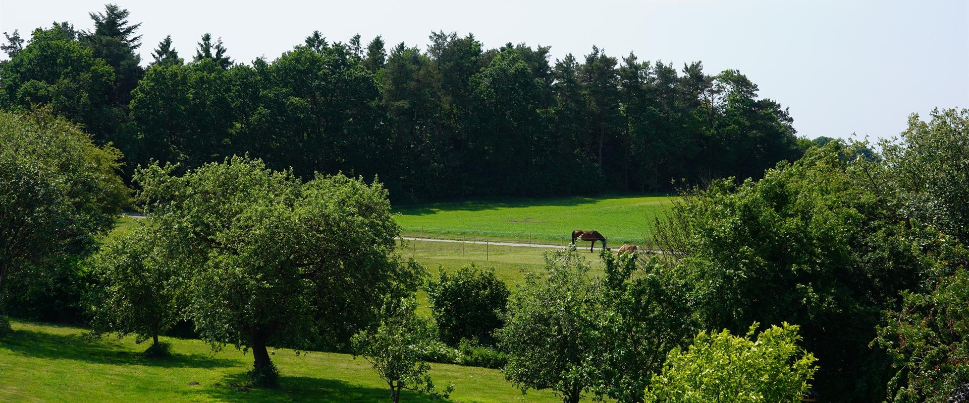 Lækre omgivelser tæt på natur¤Læs mere her